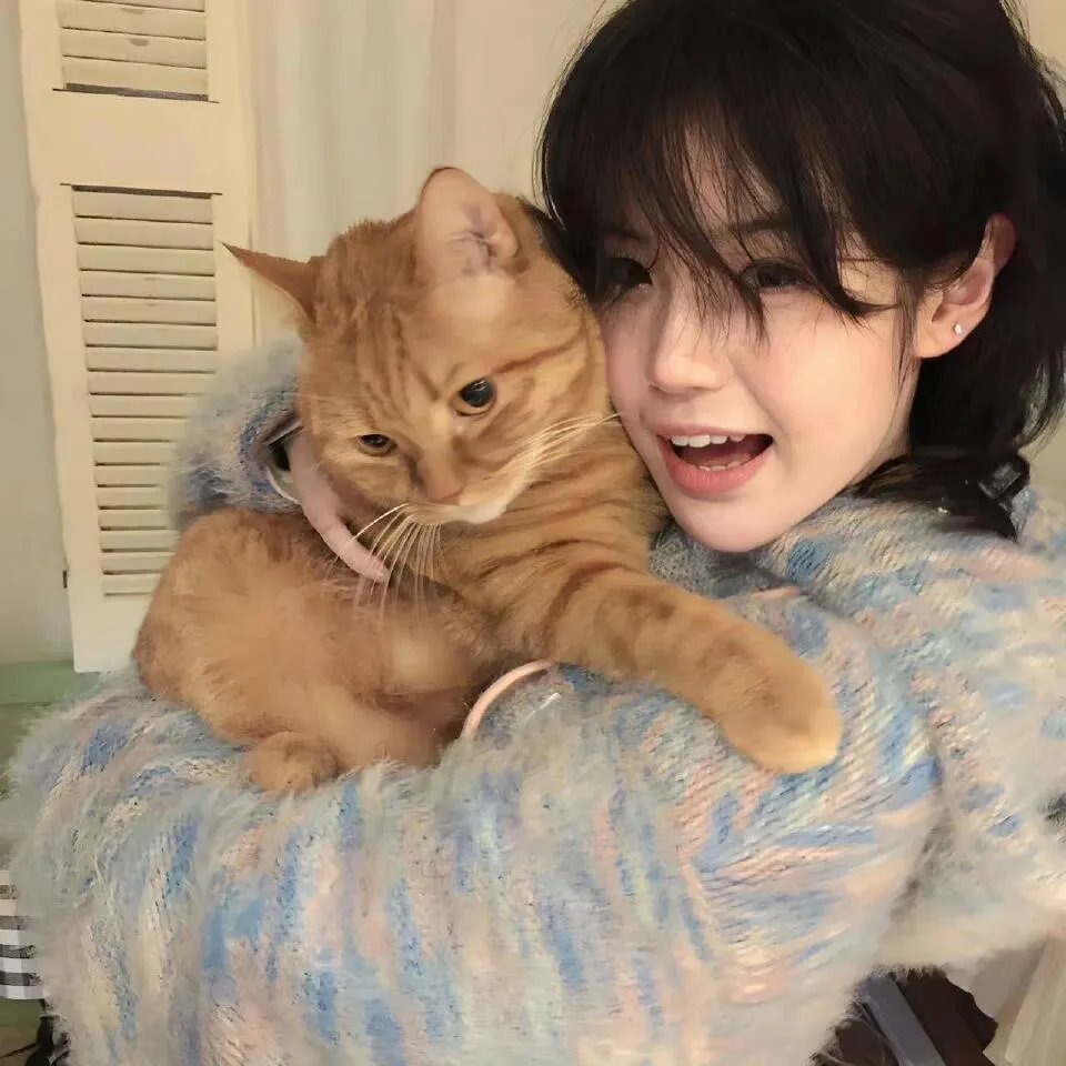 猫咪少女